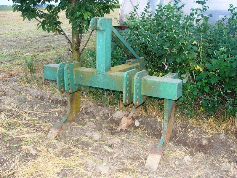 A. Buongiorno - 2003 — zdjęcie 1
