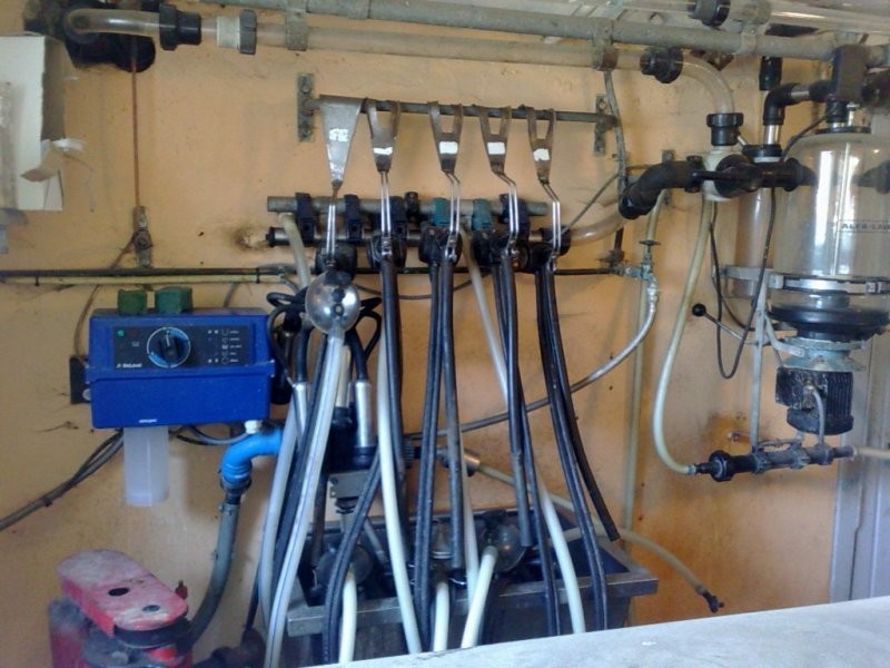 dojarka ALFA LAVAL 4 aparaty udoj. z myjka — zdjęcie 2