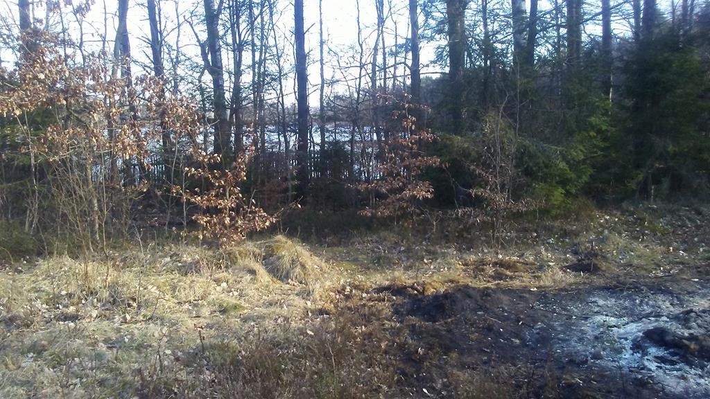 1,25 ha Szemud — zdjęcie 5