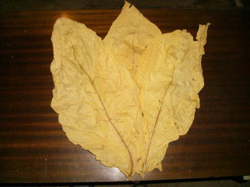 Tabak