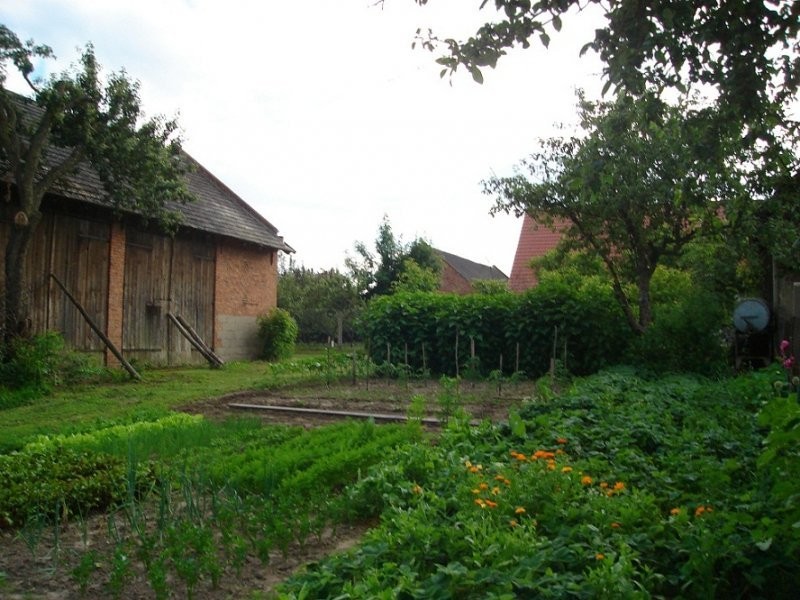 Małe gospodarstwo rolne 1,9ha Kowalowice — zdjęcie 5