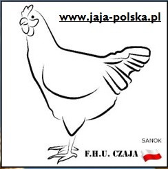 Sprzedam jaja