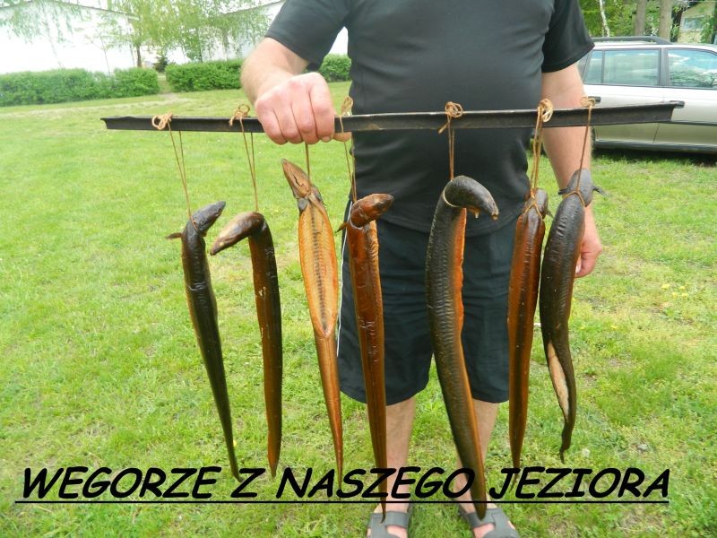 Do wynajęcia domki letniskowe 20 m od jeziora — zdjęcie 5