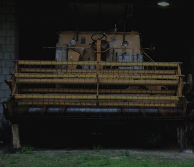 SPRZEDAM BIZON 56 — zdjęcie 3