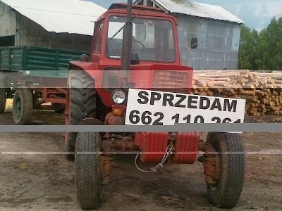 Sprzedam MTZ 82 z 1986 r. — zdjęcie 1