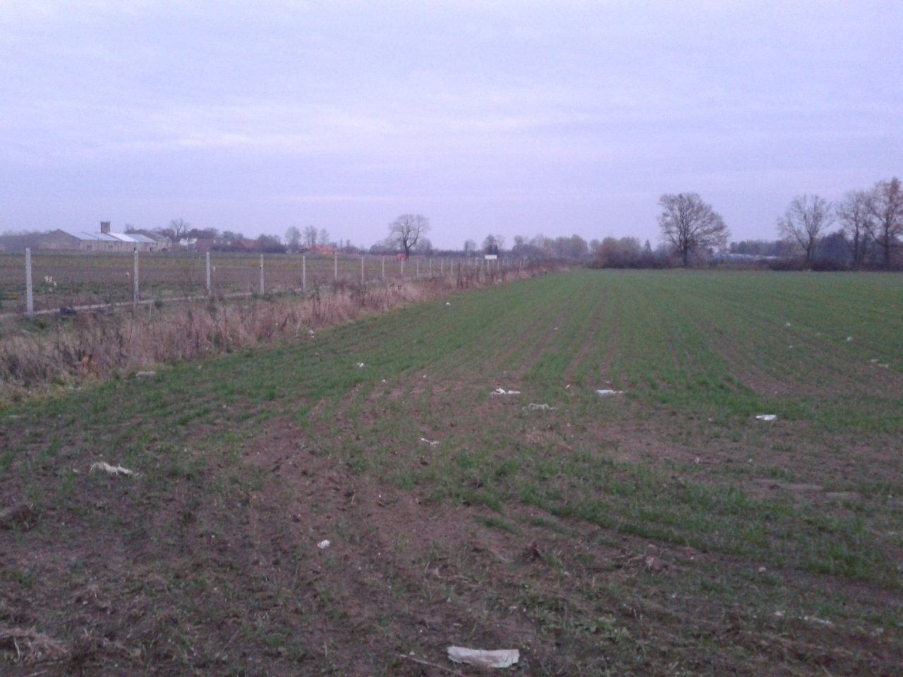 Sprzedam 3,5 ha — zdjęcie 3