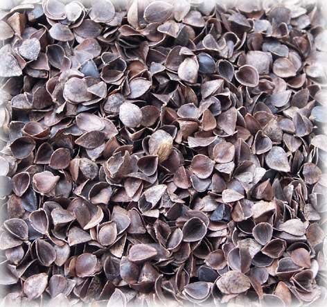 Pellet, pelet opałowy. Producent. — zdjęcie 2