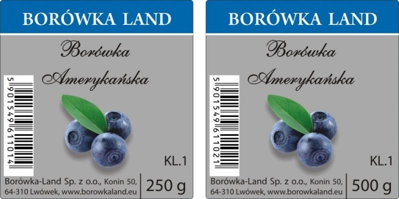 Borówka amerykańska