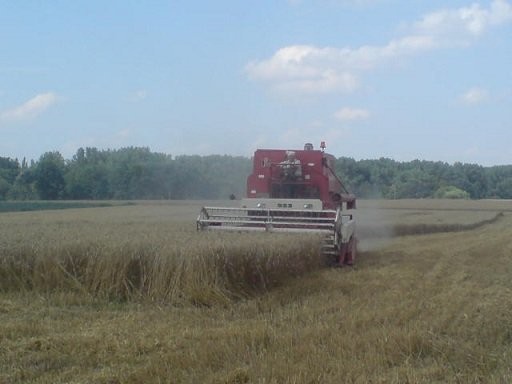 Sprzedam pilnie kombajn CASE IHC-923 — zdjęcie 2
