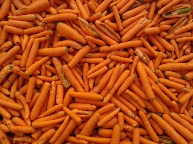 Marchew odpadowa