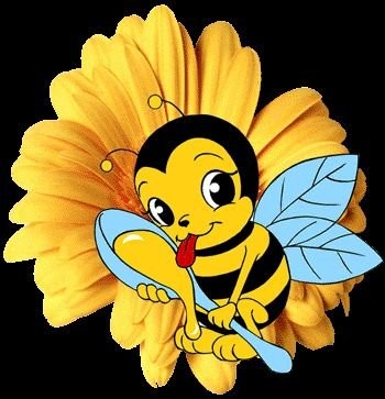 Sprzedam propolis