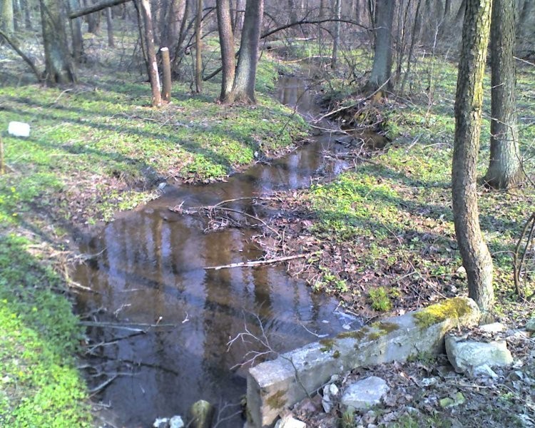 Działki; 56 ha, 55 ha, 24 ha, 20, 30, 39 ha - SPRZEDAM — zdjęcie 2