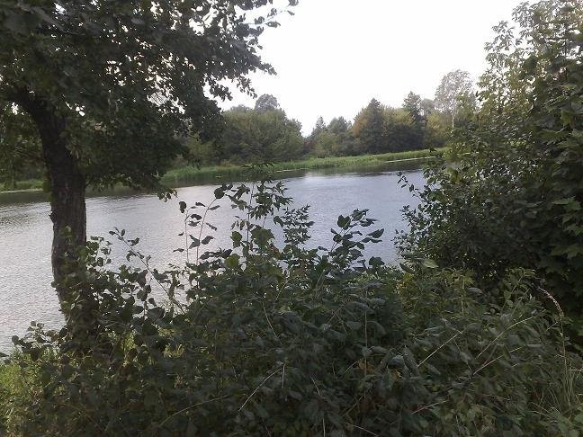 działka nad rzeką Narwią — zdjęcie 2