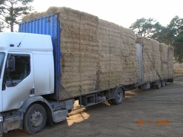 transport słomy — zdjęcie 2