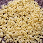 MAKARON MUSZELKA 