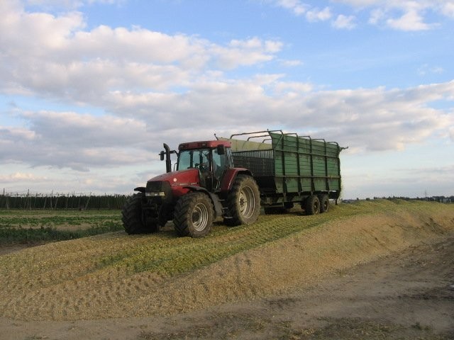 usługi agrotechniczne   żniwa 2013 — zdjęcie 2