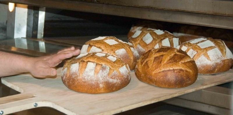 Szukam odbiorców na pyszny tradycyjny chleb.