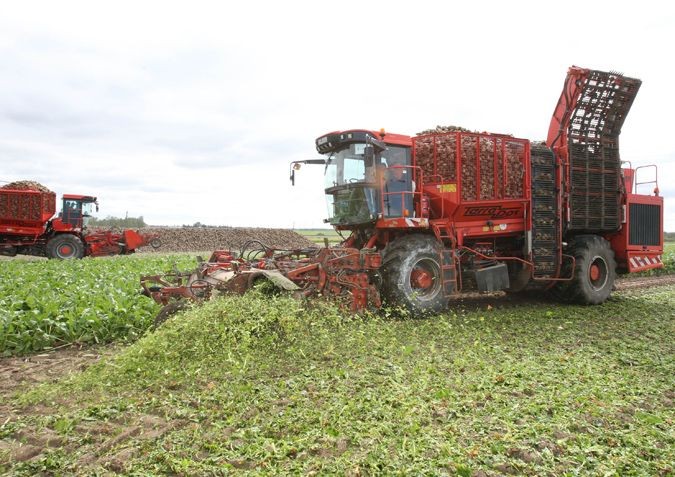  Ukraina. Wprowadzanie na rynek krajowy producentow, dystrybutorow