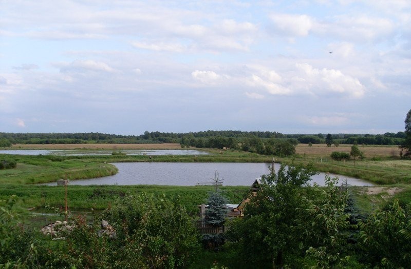 Pokoje gościnne, łowisko karpia, pole namiotowe — zdjęcie 2