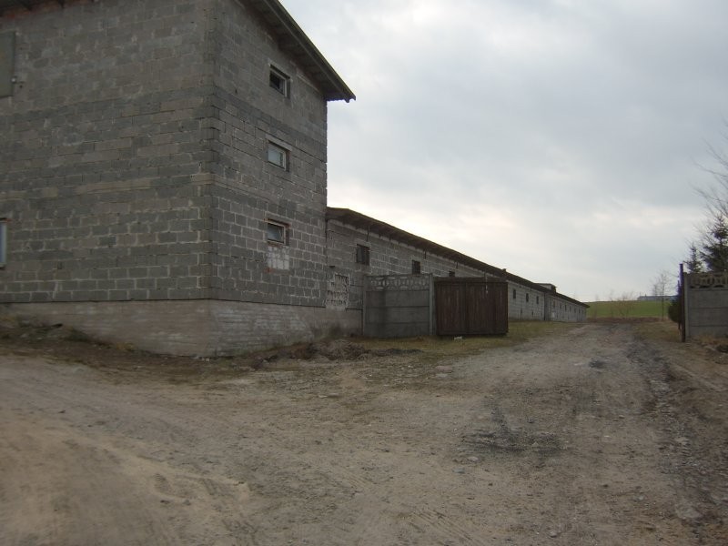 Gospodarstwo rolne20ha pom.hodowlano magazynowe — zdjęcie 4