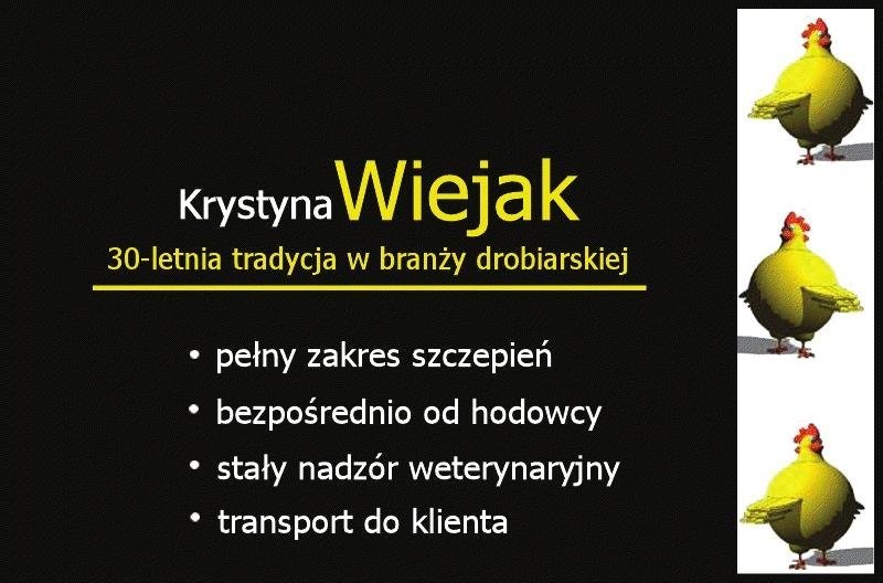 KURCZĘTA ODCHOWANE, KURKI, KURY, ODCHÓW, KACZKI, K — zdjęcie 2
