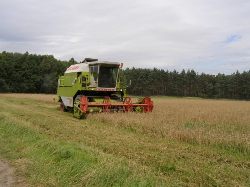 CLAAS DOMINATOR 96 — zdjęcie 2