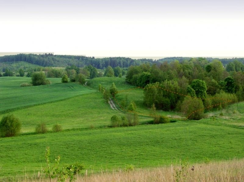 Mazury -duża działka budowlana na odludziu! 4500m2 — zdjęcie 2