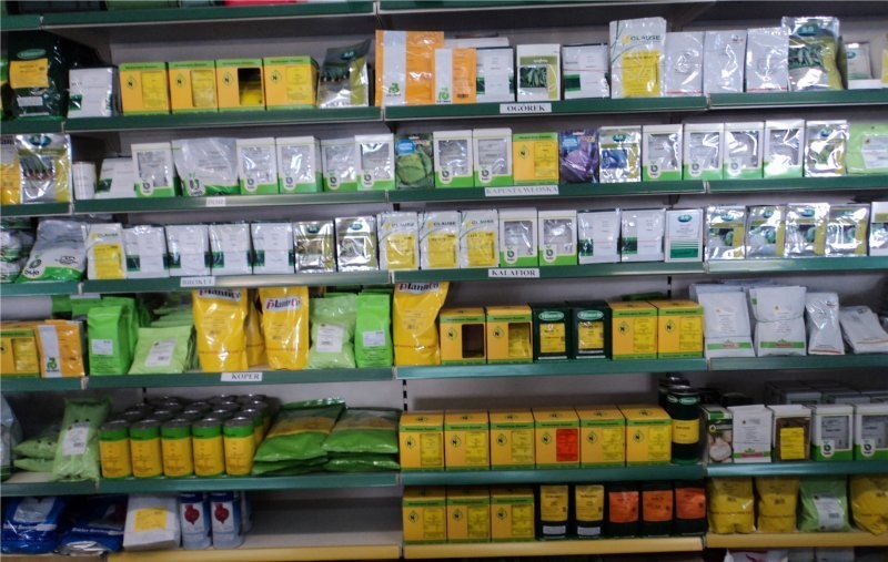 Polskie i holenderskie nasiona warzyw w dobrej cen