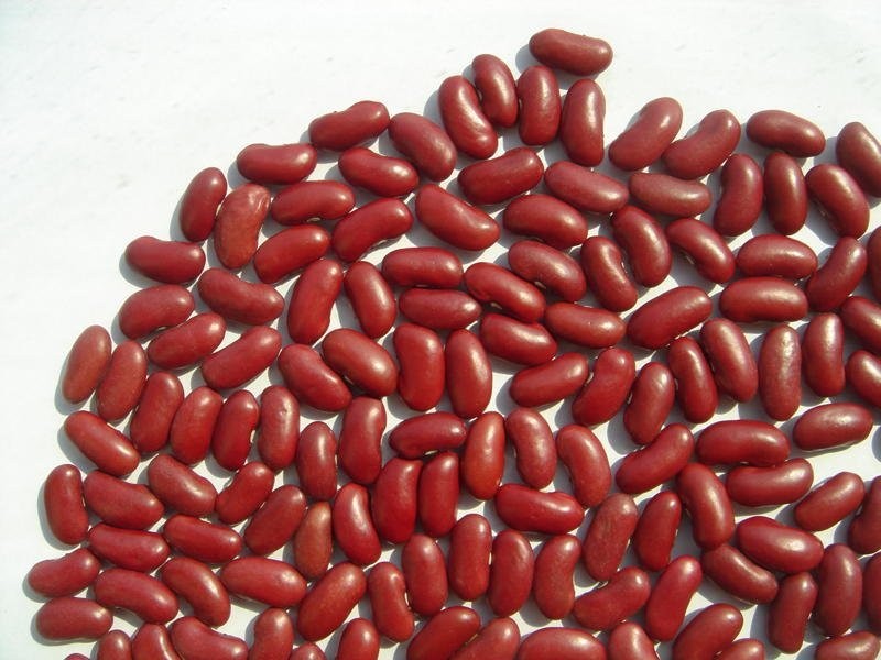 sell chinese spices in poland — zdjęcie 4