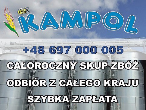 Kupię proso groch facelia łubin pszenica jęczmień peluszka itp