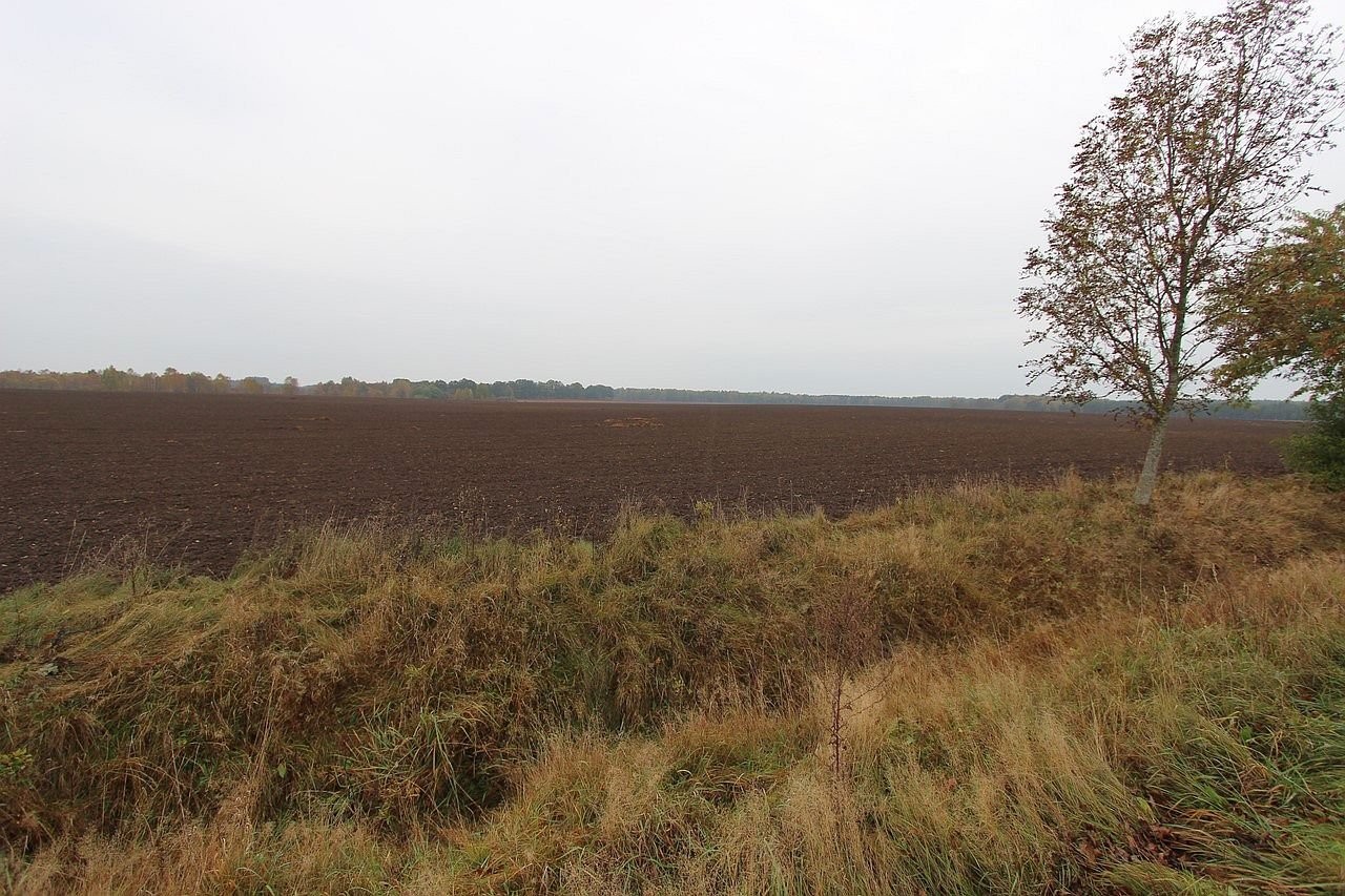 Grunty rolne 400ha + infrastruktura — zdjęcie 3