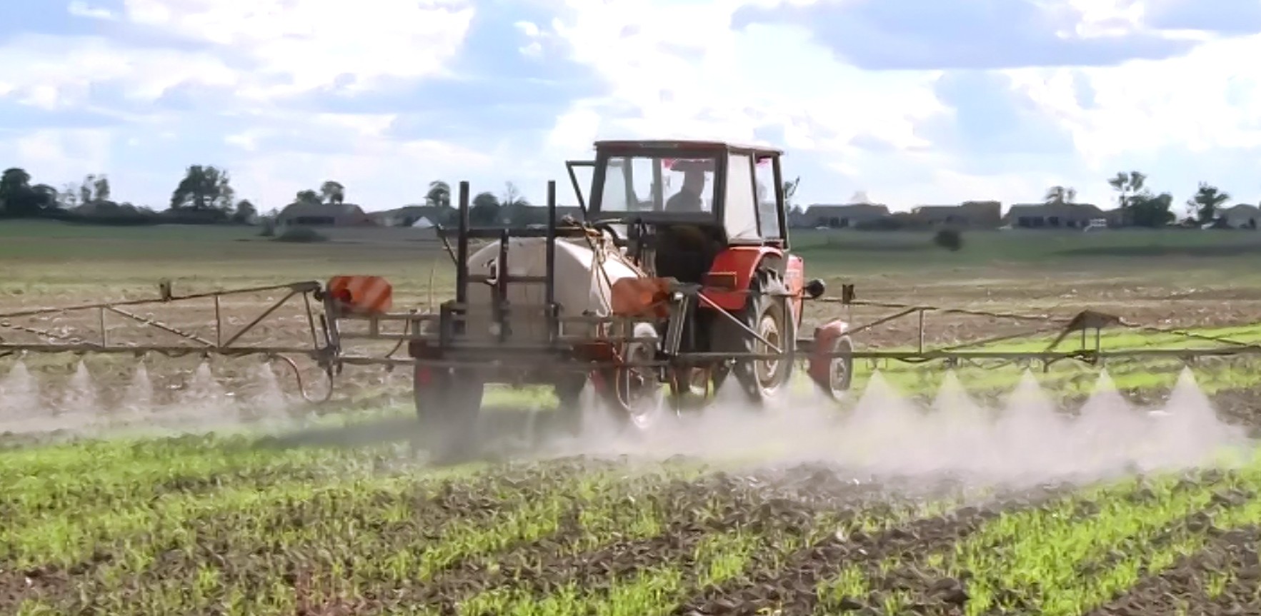 HUMUS Kwasy humusowe próchnicowe obornik nawóz — zdjęcie 2