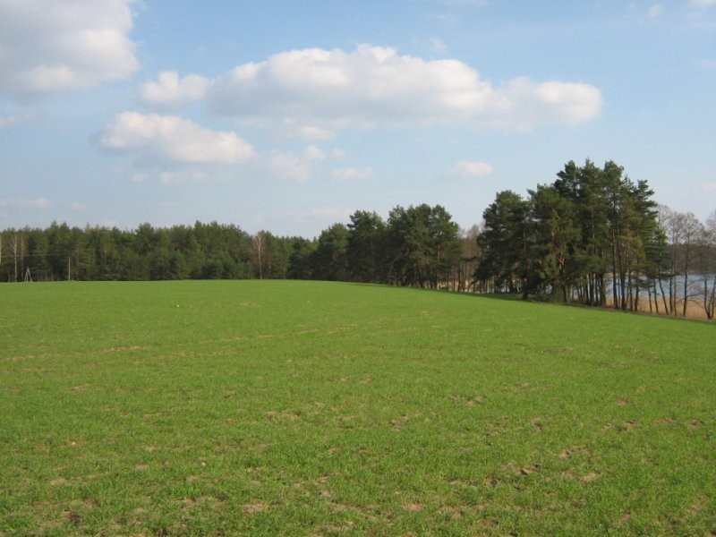 Działka rekreacyjna nad jeziorem Wałpusz Mazury — zdjęcie 2