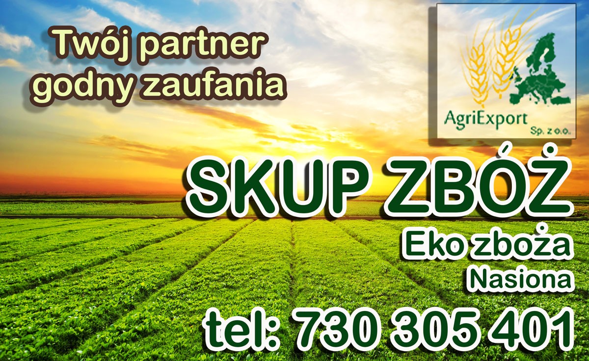 Skup zbóż paszowych oraz konsumpcyjnych  — zdjęcie 1