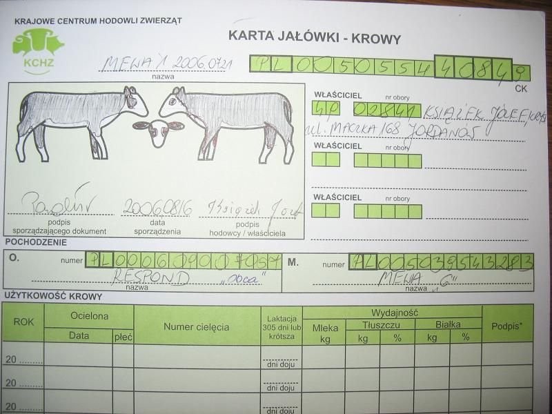 Sprzedam jałówke hodowlaną — zdjęcie 1
