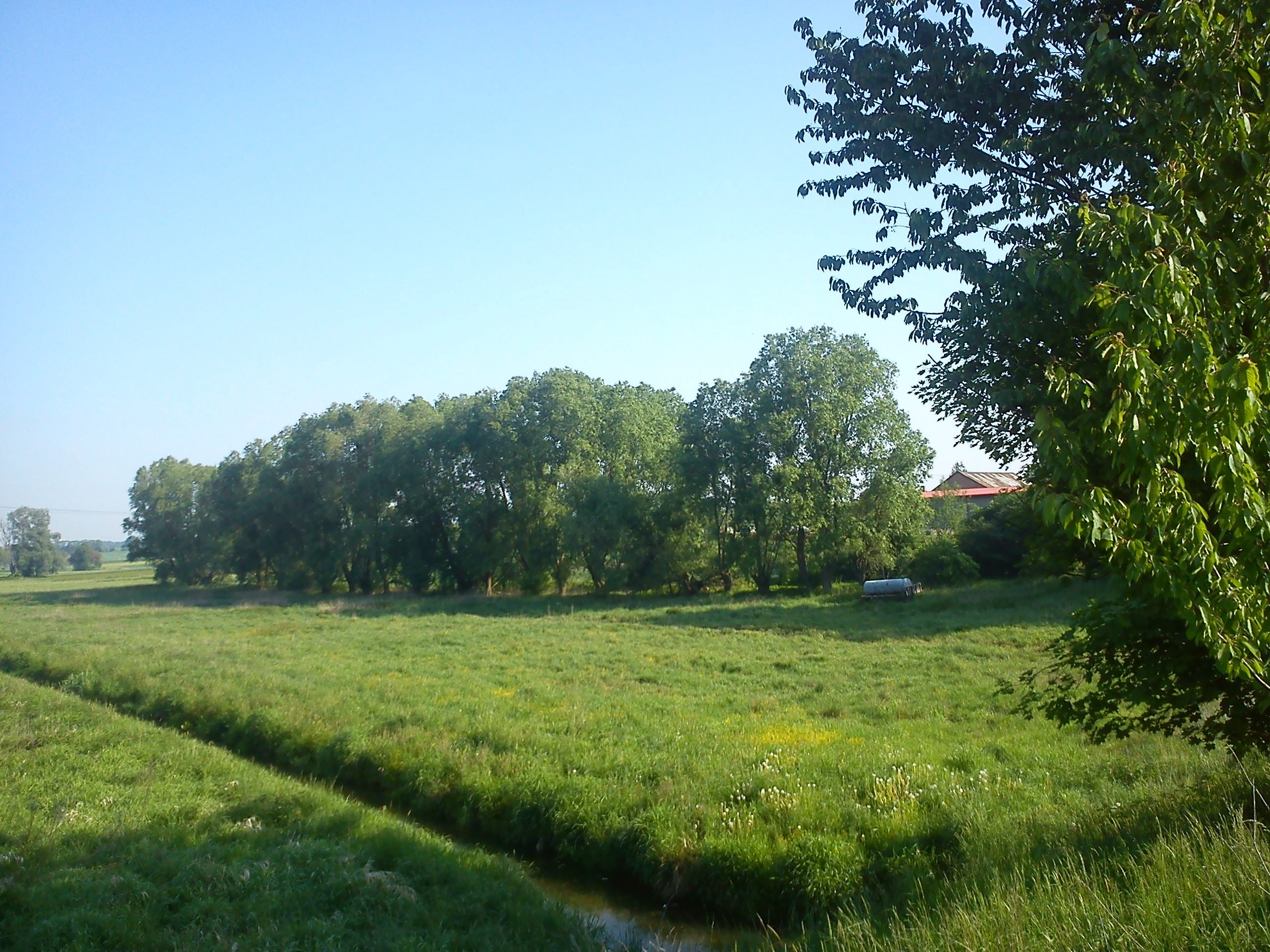 Pilnie sprzedam łąkę Jaksonowice - gmina Długołęka — zdjęcie 2