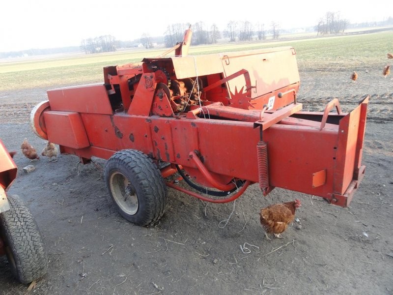 Sprzedam prase sipme z224/1 — zdjęcie 1