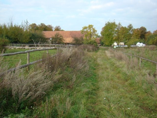 gospodarstwo agro. 30,5ha — zdjęcie 6