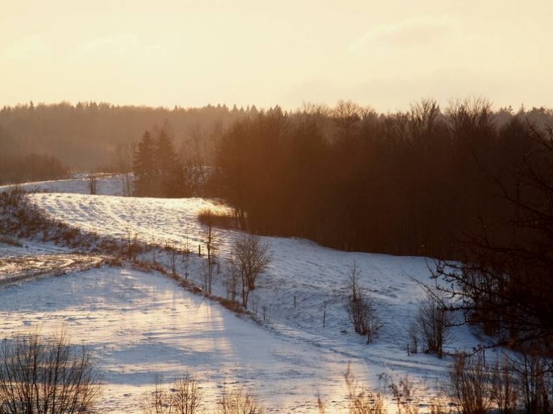 Mazury -duża działka budowlana na odludziu! 4500m2 — zdjęcie 1