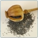 Sprzedam mak — zdjęcie 2
