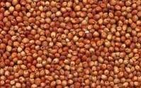 Sprzedam sorgo czerwone, extra jakość!