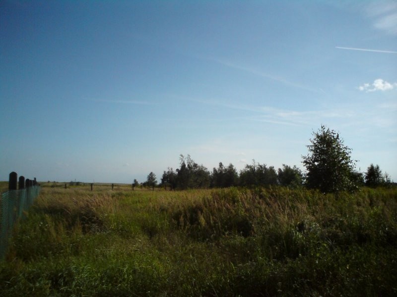 Działka budowlana/ koło Wrocławia — zdjęcie 1