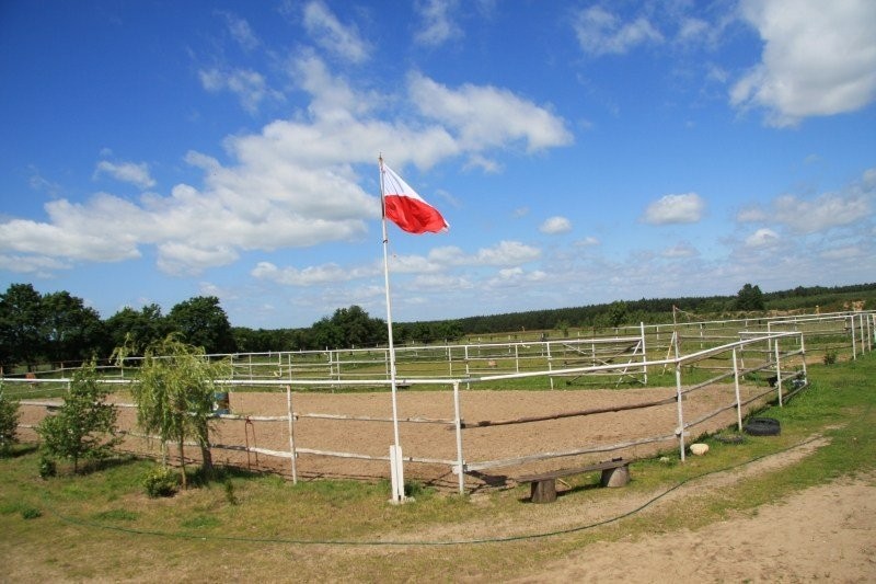 Jazda konna Western, rajdy, nauka jazdy konnej — zdjęcie 4