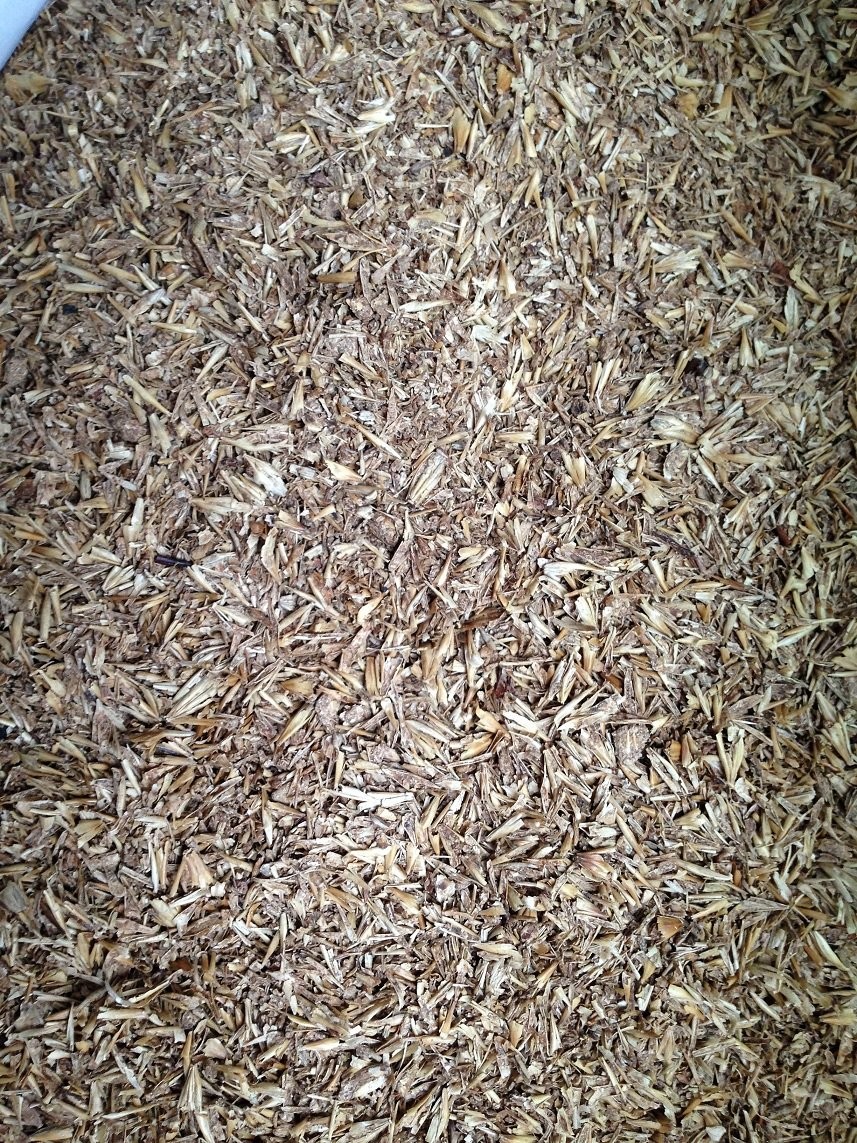 DROŻDŻE PASZOWE-MŁÓTO BROWARNE SUCHE-DDGS