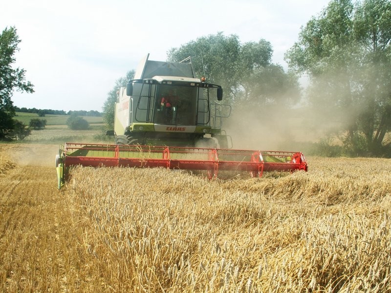 usługi agrotechniczne — zdjęcie 6