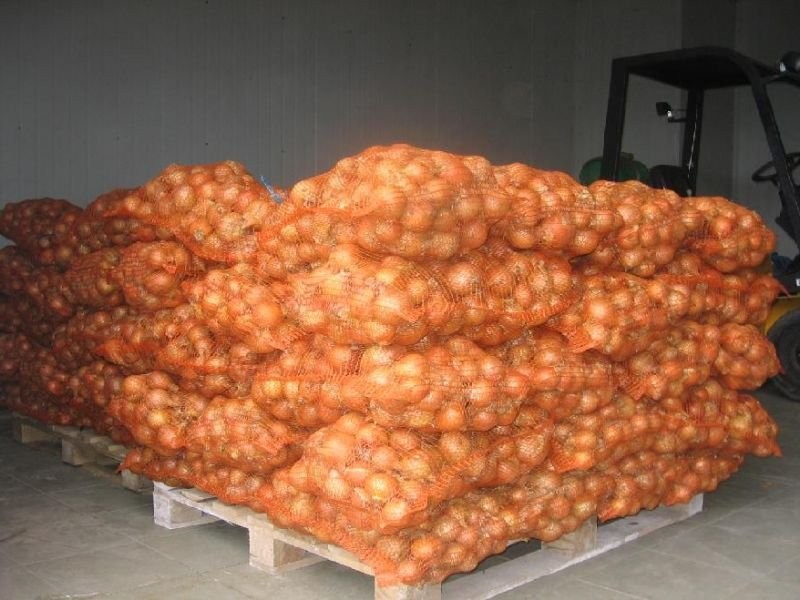SPRZEDAM CEBULĘ