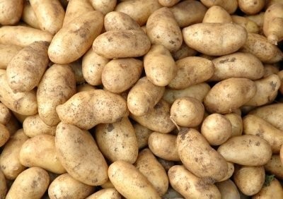 Kupię ziemniaki