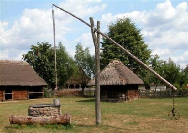 Ukraina.Sady orzechowe,plantacje roslin jagodowych