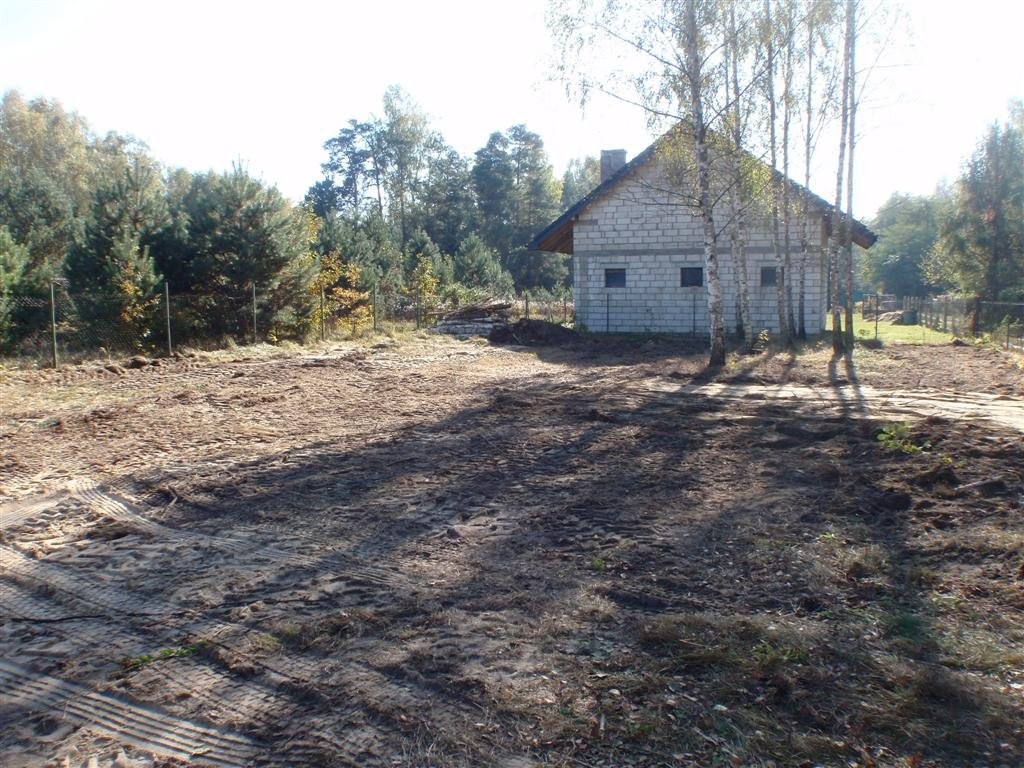 Wycinka drzew łódź, zgierz, ozorków, brzeziny, and — zdjęcie 5