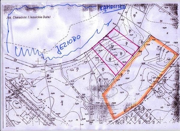 Sprzedam 4.5 ha pod inwestycję koło Bydgoszczy — zdjęcie 1